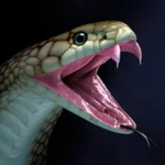 snake wallpapers android application logo